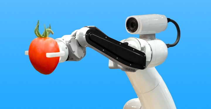 Een robot die een tomaat vasthoudt alsof de tomaat zojuist geplukt is met machine vision